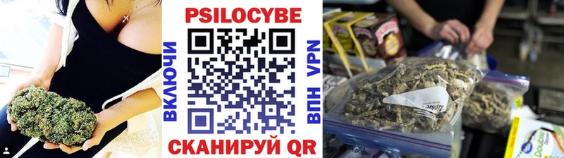 Псилоцибиновые грибы мухоморы  блэк спрут зеркало  сайты даркнета Telegram  как найти   Кингисепп 