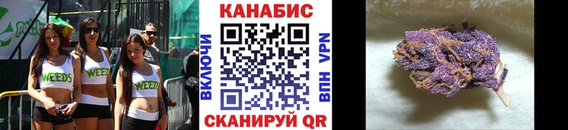 Бошки Шишки сатива блэк спрут ссылка Кингисепп